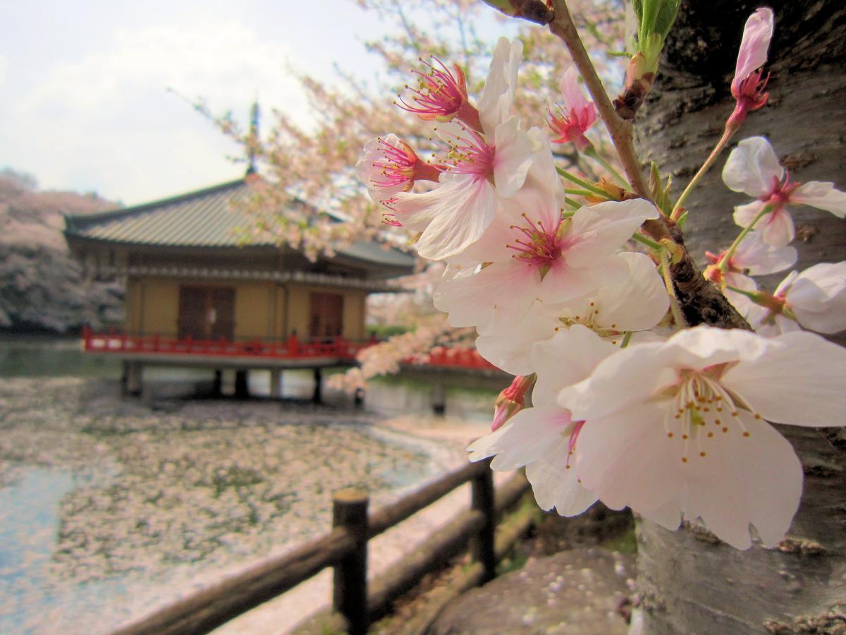 Ryokan Taishoro Hotel Sakurai Екстериор снимка